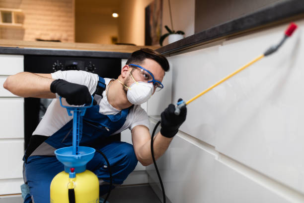 Best Termite Control Services  in Westlake, OH