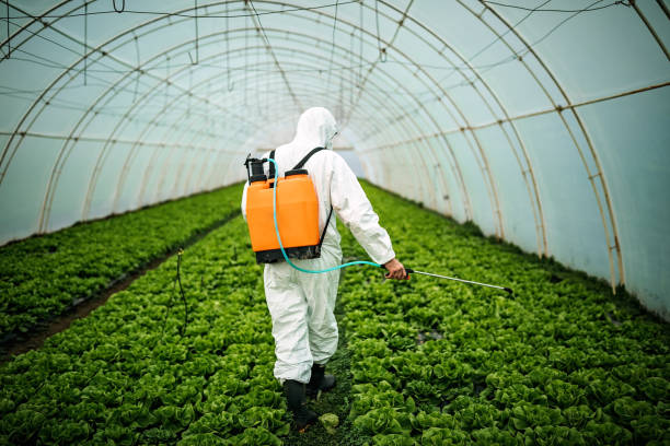 Best Residential Pest Control  in Westlake, OH