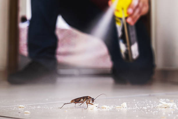 Best Best Pest Control Companies  in Westlake, OH